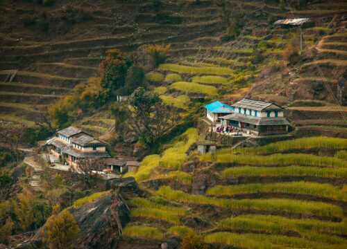 6 Best Amazing Delightful Homestays in India for Foodies