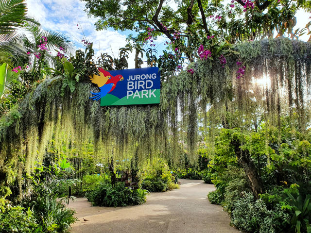 Jurong bird Park
